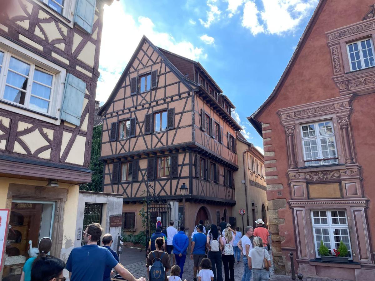 Rive Petite Venise Appartement Luxe - Centre Ville Colmar - Clim, Ascenseur & Possibilite Parking Екстер'єр фото